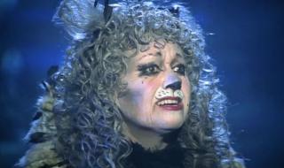 音乐剧猫中文版 音乐剧猫中文版