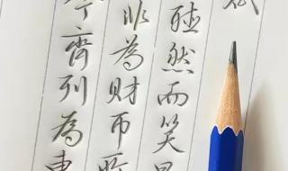 手抄上林赋是什么梗