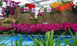 皇城相府门票多少钱 皇城相府门票多少钱